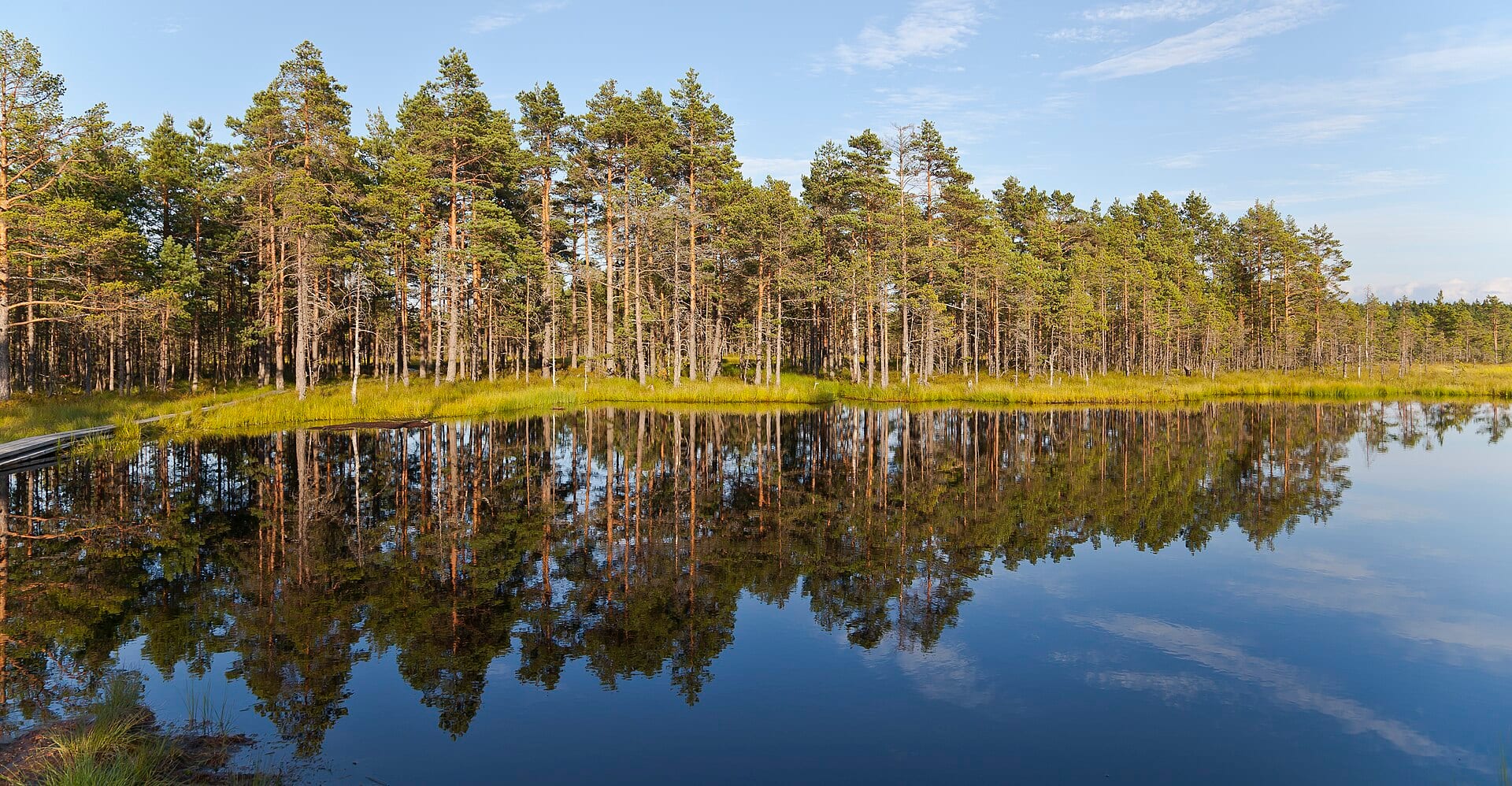 Lahemaa National Park forests and Estonian nature